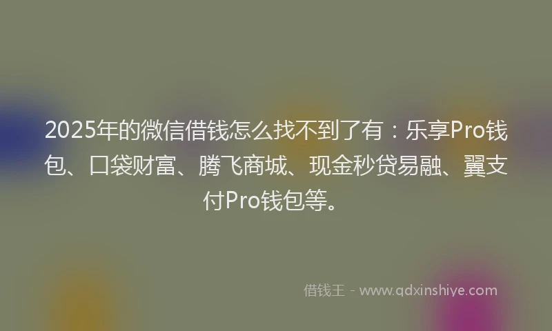 2025年的微信借钱怎么找不到了有：乐享Pro钱包、口袋财富、腾飞商城、现金秒贷易融、翼支付Pro钱包等。