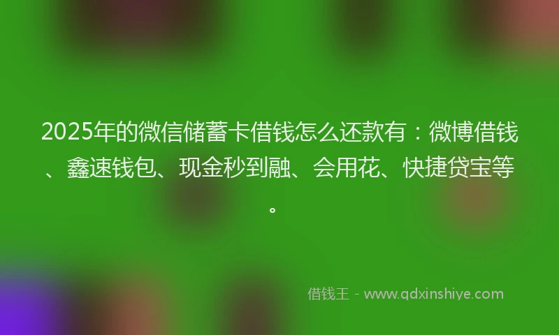 2025年的微信储蓄卡借钱怎么还款有：微博借钱、鑫速钱包、现金秒到融、会用花、快捷贷宝等。