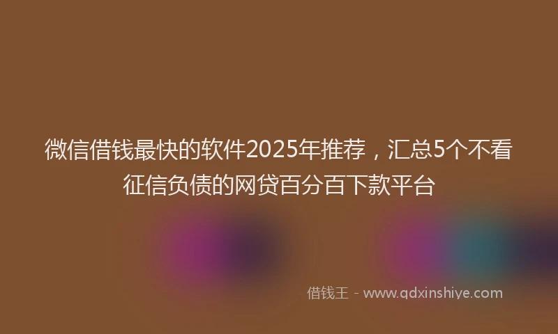 微信借钱最快的软件2025年推荐，汇总5个不看征信负债的网贷百分百下款平台