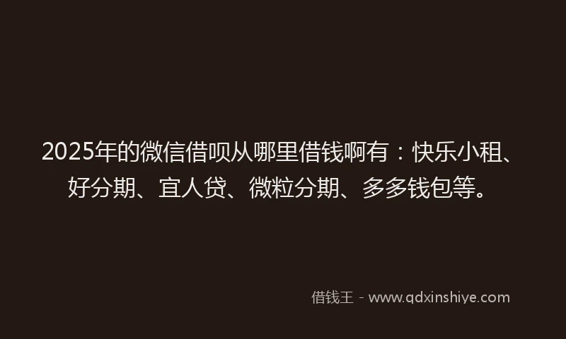 2025年的微信借呗从哪里借钱啊有：快乐小租、好分期、宜人贷、微粒分期、多多钱包等。