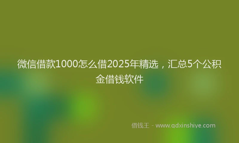 微信借款1000怎么借2025年精选，汇总5个公积金借钱软件