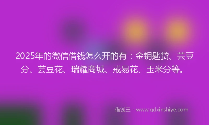 2025年的微信借钱怎么开的有：金钥匙贷、芸豆分、芸豆花、瑞耀商城、戒易花、玉米分等。
