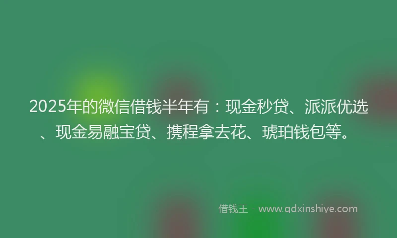 2025年的微信借钱半年有：现金秒贷、派派优选、现金易融宝贷、携程拿去花、琥珀钱包等。