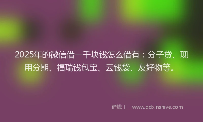 2025年的微信借一千块钱怎么借有：分子贷、现用分期、福瑞钱包宝、云钱袋、友好物等。
