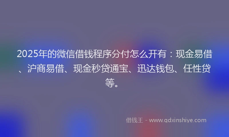 2025年的微信借钱程序分付怎么开有：现金易借、沪商易借、现金秒贷通宝、迅达钱包、任性贷等。