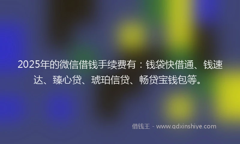 2025年的微信借钱手续费有：钱袋快借通、钱速达、臻心贷、琥珀信贷、畅贷宝钱包等。