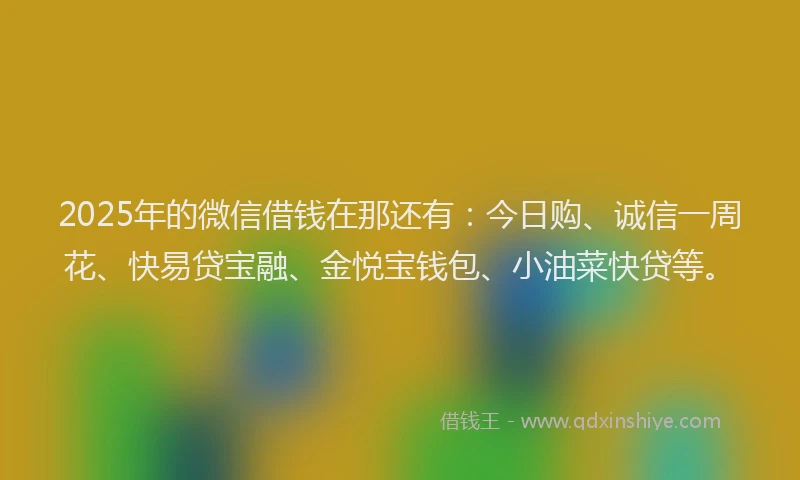 2025年的微信借钱在那还有：今日购、诚信一周花、快易贷宝融、金悦宝钱包、小油菜快贷等。