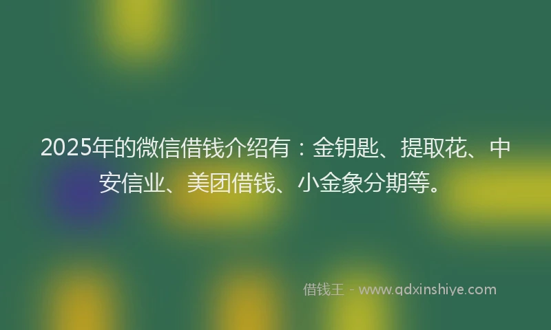 2025年的微信借钱介绍有：金钥匙、提取花、中安信业、美团借钱、小金象分期等。