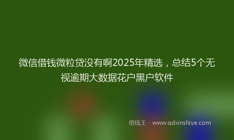 微信借钱微粒贷没有啊2025年精选，总结5个无视逾期大数据花户黑户软件