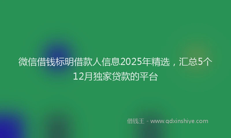 微信借钱标明借款人信息2025年精选，汇总5个12月独家贷款的平台