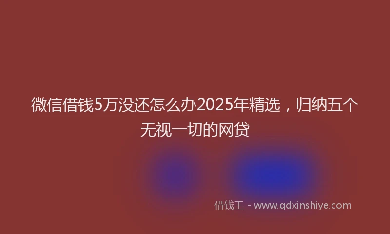 微信借钱5万没还怎么办2025年精选，归纳五个无视一切的网贷