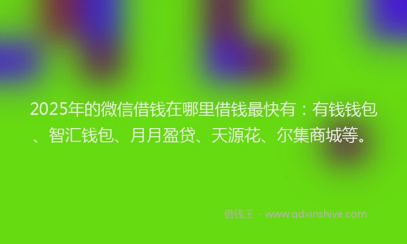 2025年的微信借钱在哪里借钱最快有：有钱钱包、智汇钱包、月月盈贷、天源花、尔集商城等。