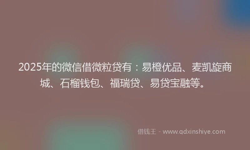 2025年的微信借微粒贷有：易橙优品、麦凯旋商城、石榴钱包、福瑞贷、易贷宝融等。
