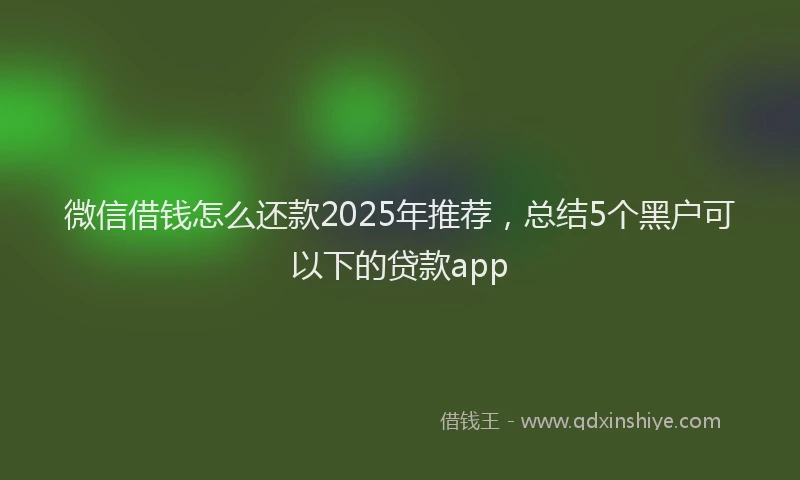 微信借钱怎么还款2025年推荐，总结5个黑户可以下的贷款app