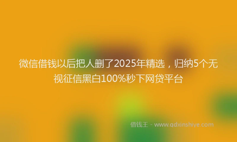 微信借钱以后把人删了2025年精选，归纳5个无视征信黑白100%秒下网贷平台