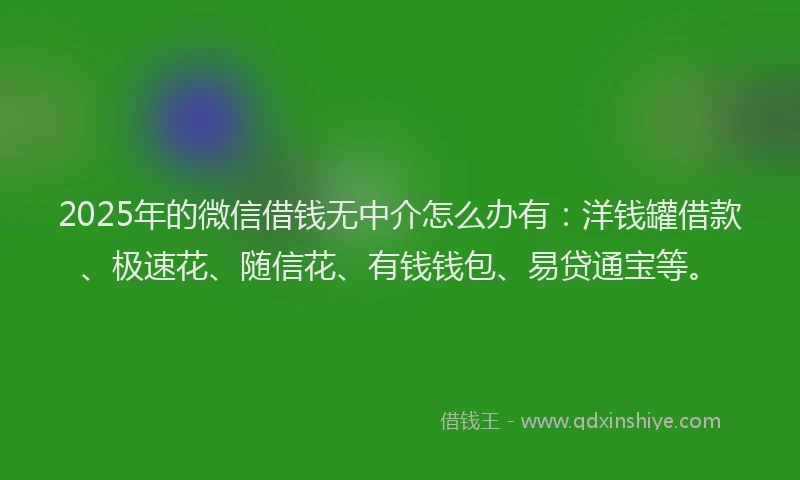 2025年的微信借钱无中介怎么办有：洋钱罐借款、极速花、随信花、有钱钱包、易贷通宝等。