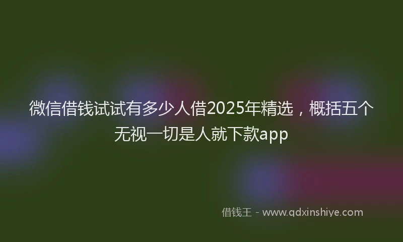 微信借钱试试有多少人借2025年精选，概括五个无视一切是人就下款app