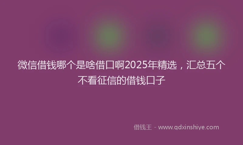 微信借钱哪个是啥借口啊2025年精选，汇总五个不看征信的借钱口子