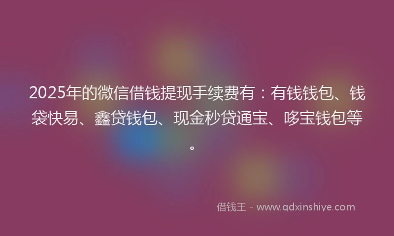 2025年的微信借钱提现手续费有：有钱钱包、钱袋快易、鑫贷钱包、现金秒贷通宝、哆宝钱包等。
