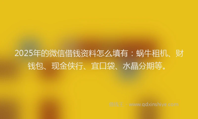 2025年的微信借钱资料怎么填有：蜗牛租机、财钱包、现金侠行、宜口袋、水晶分期等。