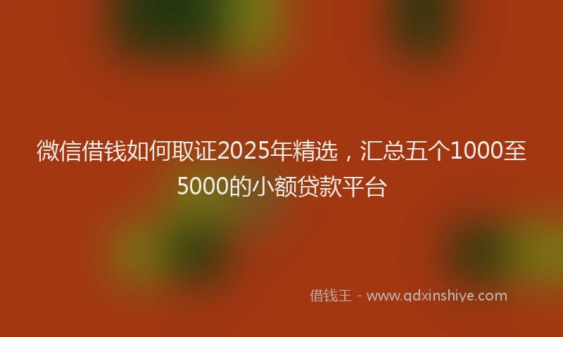 微信借钱如何取证2025年精选，汇总五个1000至5000的小额贷款平台