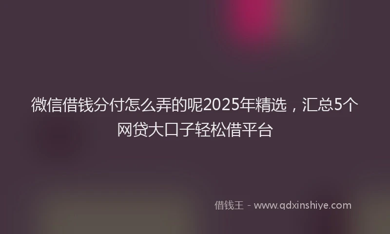 微信借钱分付怎么弄的呢2025年精选，汇总5个网贷大口子轻松借平台