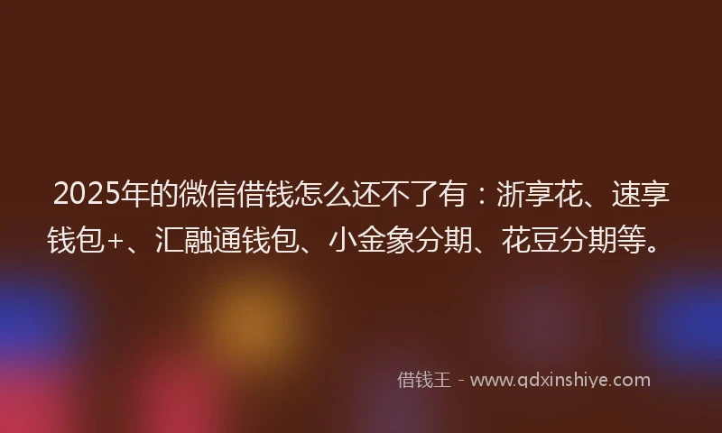 2025年的微信借钱怎么还不了有：浙享花、速享钱包+、汇融通钱包、小金象分期、花豆分期等。