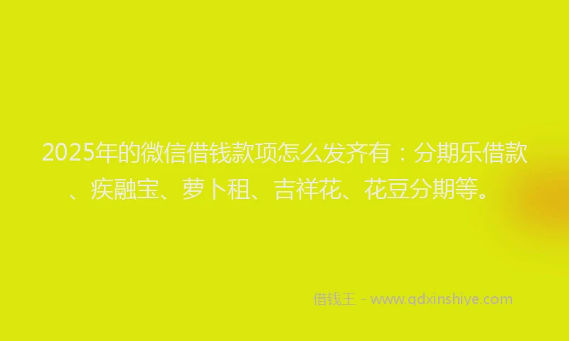 2025年的微信借钱款项怎么发齐有：分期乐借款、疾融宝、萝卜租、吉祥花、花豆分期等。