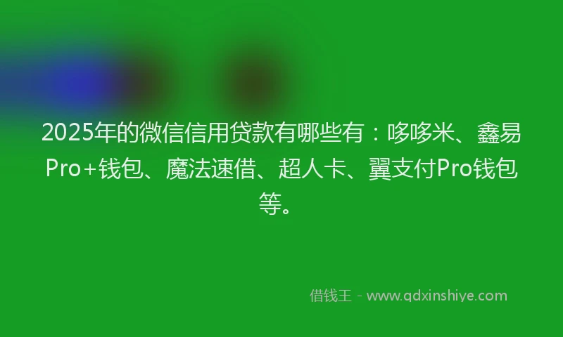 2025年的微信信用贷款有哪些有：哆哆米、鑫易Pro+钱包、魔法速借、超人卡、翼支付Pro钱包等。