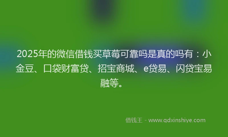2025年的微信借钱买草莓可靠吗是真的吗有：小金豆、口袋财富贷、招宝商城、e贷易、闪贷宝易融等。