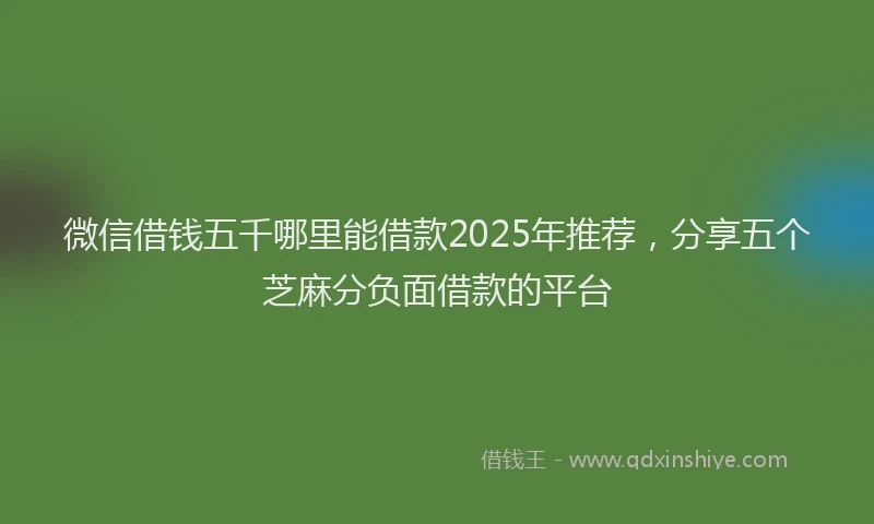 微信借钱五千哪里能借款2025年推荐，分享五个芝麻分负面借款的平台