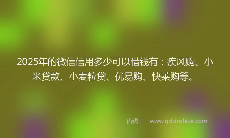2025年的微信信用多少可以借钱有：疾风购、小米贷款、小麦粒贷、优易购、快莱购等。