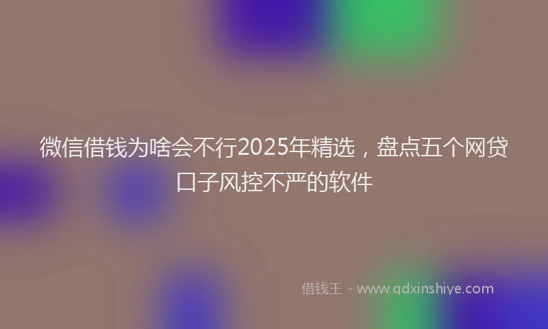微信借钱为啥会不行2025年精选，盘点五个网贷口子风控不严的软件