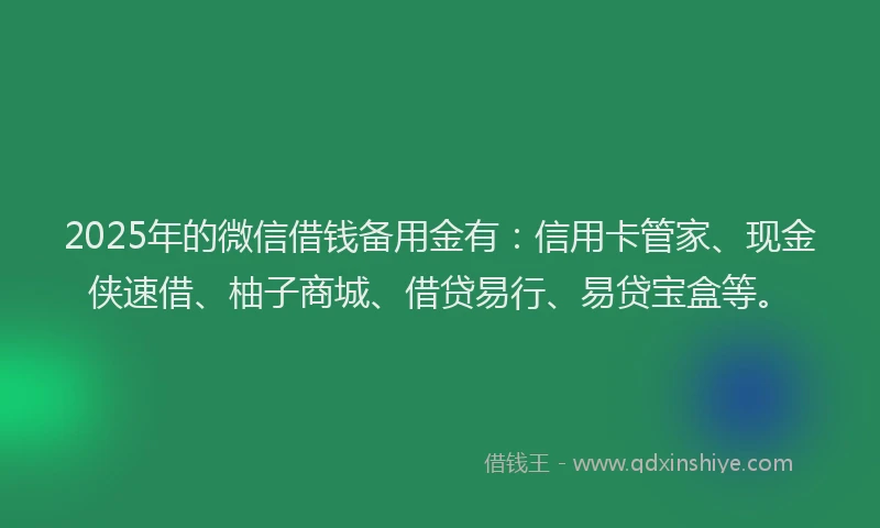 2025年的微信借钱备用金有：信用卡管家、现金侠速借、柚子商城、借贷易行、易贷宝盒等。