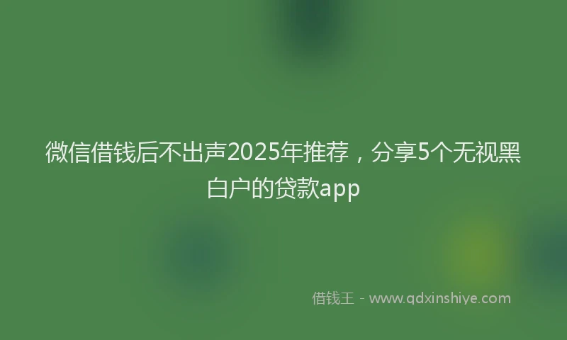 微信借钱后不出声2025年推荐，分享5个无视黑白户的贷款app