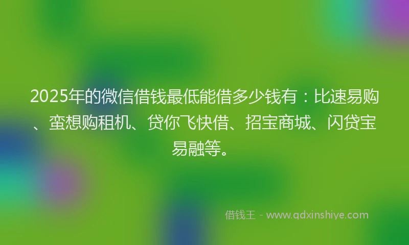 2025年的微信借钱最低能借多少钱有：比速易购、蛮想购租机、贷你飞快借、招宝商城、闪贷宝易融等。