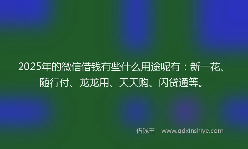 2025年的微信借钱有些什么用途呢有：新一花、随行付、龙龙用、天天购、闪贷通等。