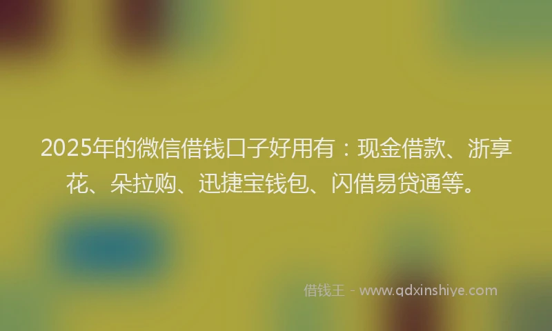 2025年的微信借钱口子好用有：现金借款、浙享花、朵拉购、迅捷宝钱包、闪借易贷通等。