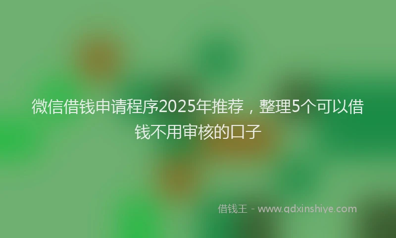 微信借钱申请程序2025年推荐，整理5个可以借钱不用审核的口子