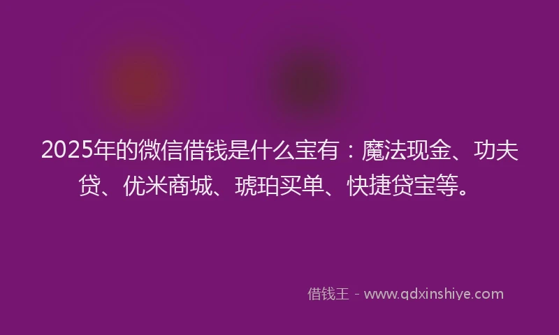 2025年的微信借钱是什么宝有：魔法现金、功夫贷、优米商城、琥珀买单、快捷贷宝等。