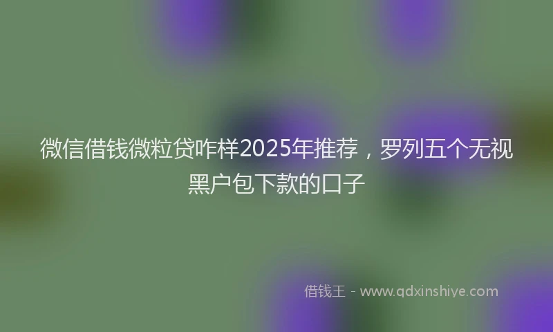 微信借钱微粒贷咋样2025年推荐，罗列五个无视黑户包下款的口子