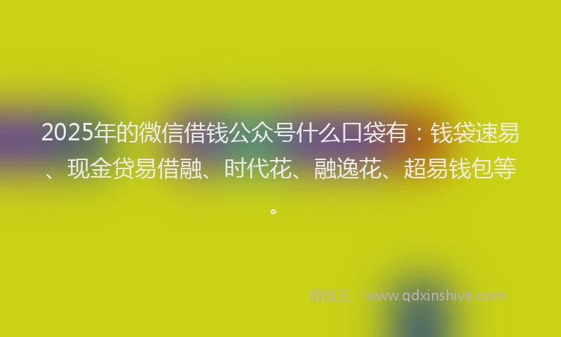 2025年的微信借钱公众号什么口袋有：钱袋速易、现金贷易借融、时代花、融逸花、超易钱包等。
