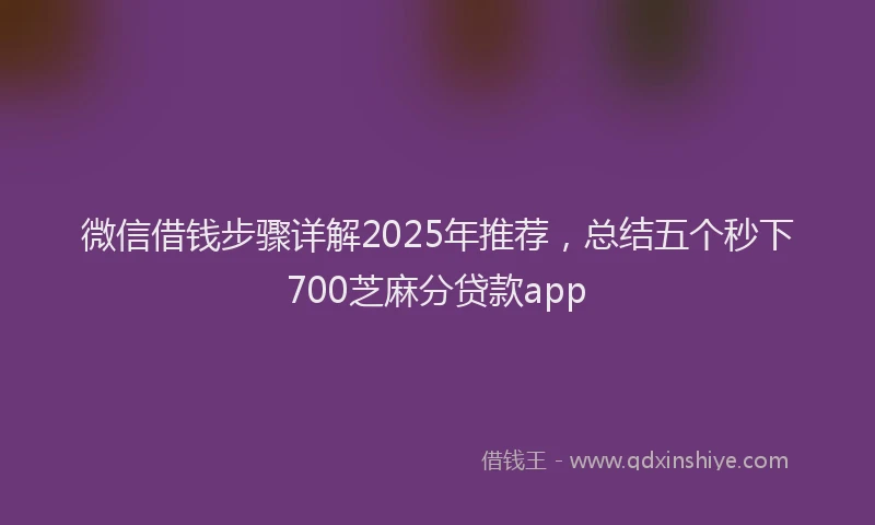 微信借钱步骤详解2025年推荐，总结五个秒下700芝麻分贷款app
