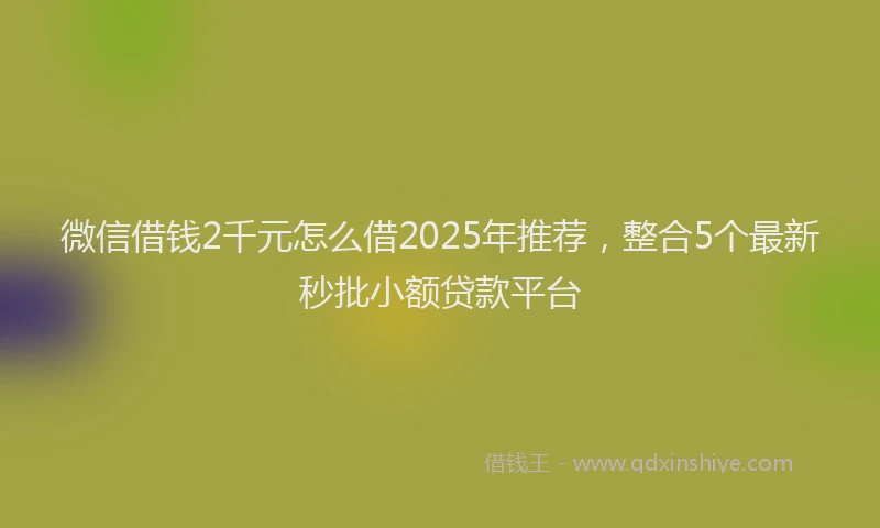 微信借钱2千元怎么借2025年推荐，整合5个最新秒批小额贷款平台