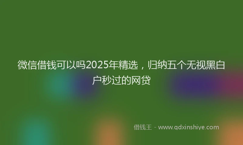 微信借钱可以吗2025年精选，归纳五个无视黑白户秒过的网贷