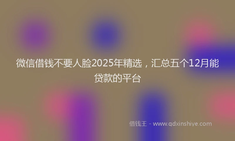 微信借钱不要人脸2025年精选，汇总五个12月能贷款的平台