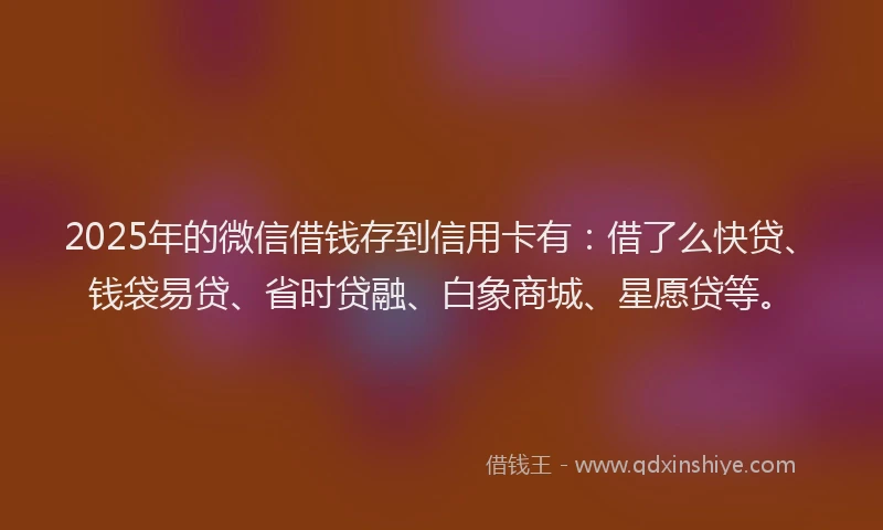 2025年的微信借钱存到信用卡有：借了么快贷、钱袋易贷、省时贷融、白象商城、星愿贷等。