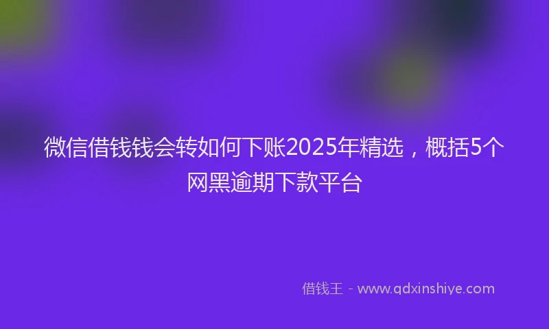 微信借钱钱会转如何下账2025年精选，概括5个网黑逾期下款平台