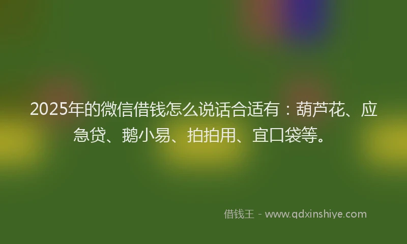 2025年的微信借钱怎么说话合适有：葫芦花、应急贷、鹅小易、拍拍用、宜口袋等。