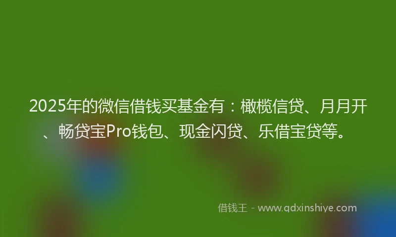 2025年的微信借钱买基金有：橄榄信贷、月月开、畅贷宝Pro钱包、现金闪贷、乐借宝贷等。